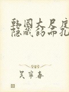 韩国大尺度电影隐藏的面孔封面