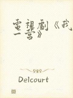 电视剧《我的特一营》