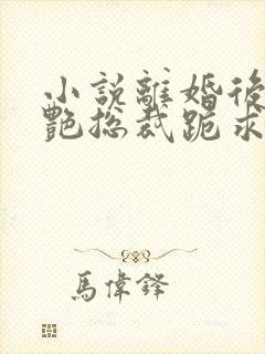 小说离婚后,冷艳总裁跪求复婚完整版