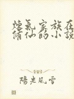 炼气家族在小岛修仙的小说