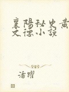 襄阳秘史黄蓉吕文德小说封面