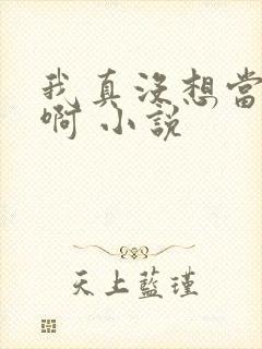 我真没想当反派啊 小说