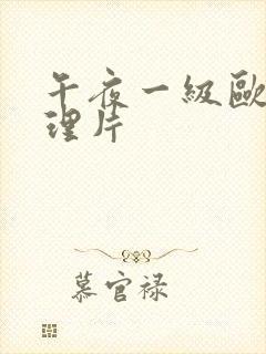 午夜一级欧美伦理片