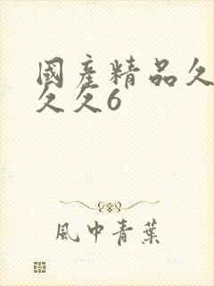 国产精品久久久久久6