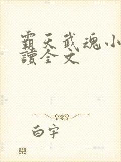 霸天武魂小说阅读全文封面