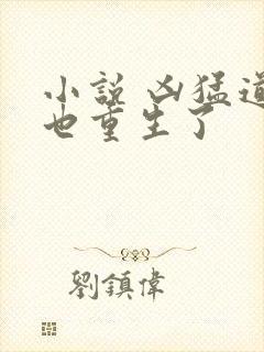 小说 凶猛道侣也重生了