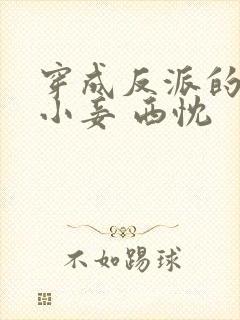 穿成反派的恶毒小妾 西忱