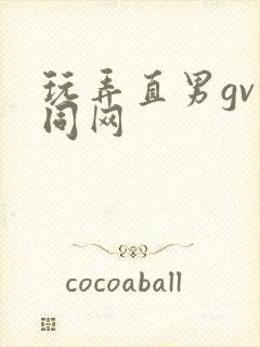 玩弄直男gv搜同网