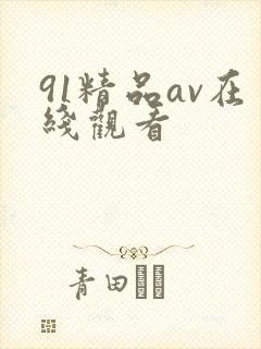 91精品av在线观看