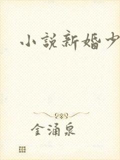 小说新婚少妇封面