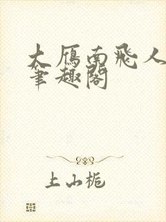 大雁南飞人不归笔趣阁