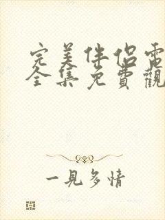 完美伴侣电视剧全集免费观看完整版