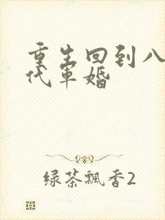 重生回到八零年代军婚