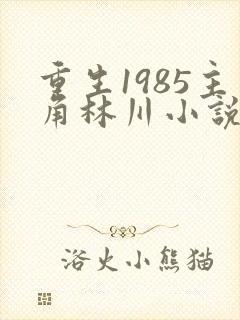 重生1985主角林川小说免费阅读