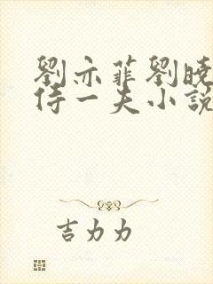 刘亦菲刘晓莉共侍一夫小说封面