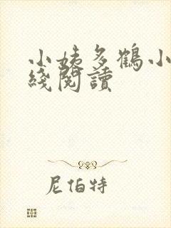 小姨多鹤小说在线阅读