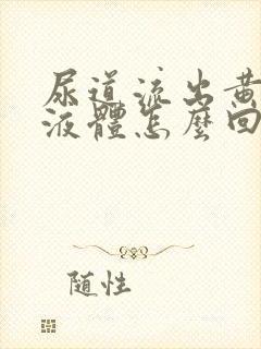 尿道流出黄色的液体怎么回事