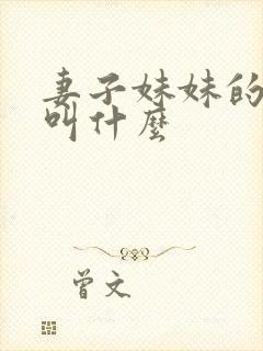 妻子妹妹的老公叫什么