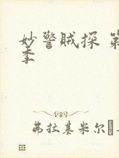 妙警贼探 第六季