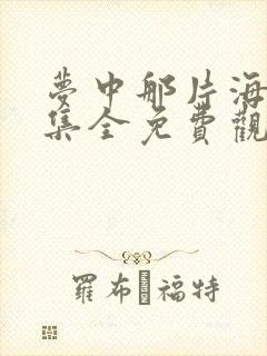 梦中那片海40集全免费观看电视剧西瓜