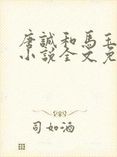 唐诚和马玉婷的小说全文免费