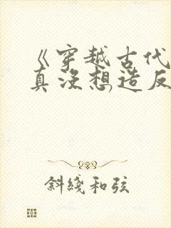 《穿越古代,我真没想造反啊》小说