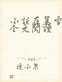 小说在暴雪时分全文阅读