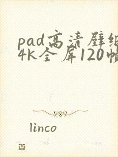 pad高清壁纸4k全屏120帧