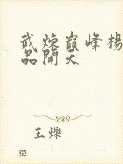 武炼巅峰杨开几品开天封面