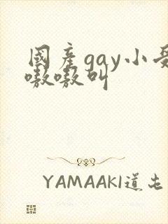 国产gay小受嗷嗷叫封面