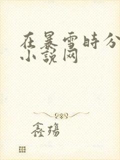 在暴雪时分全本小说网