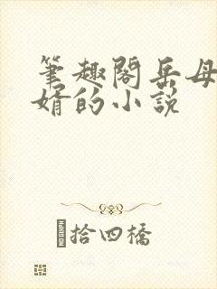 笔趣阁岳母和女婿的小说