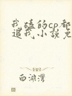 我磕的cp都想追我小说免费听书