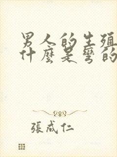 男人的生殖器为什么是弯的