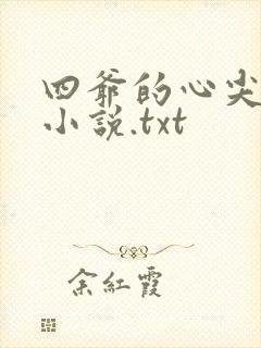 四爷的心尖宠妃小说.txt