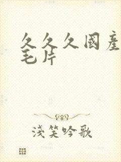 久久久国产精品毛片