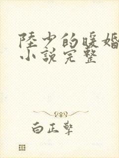 陆少的暖婚新妻小说完整