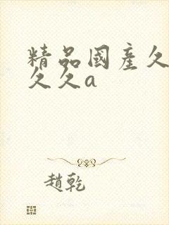 精品国产久久久久久a