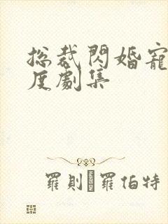 总裁闪婚宠妻无度剧集