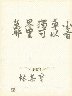 万界独尊小说在哪里可以看完整版