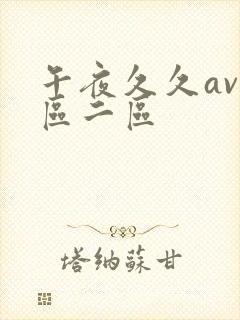 午夜久久av一区二区