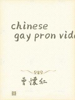 chinese gay pron videos