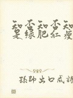 知否知否知否应是绿肥红瘦讲的是什么