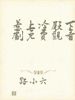 惹上冷殿下电视剧免费观看全集封面