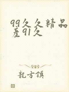 99久久精品国产91久