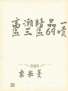 高潮精品一区二区三区69喷水封面