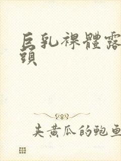 巨乳裸体露出乳头