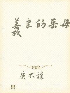 善良的岳母3播放