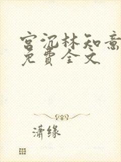 宫沉林知意小说免费全文