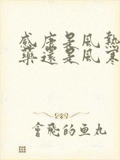 感康是风热感冒药还是风寒感冒药